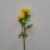 03-giallo chiaro