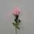 10-rosa chiaro