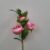 09-fuxia