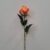 05-arancione