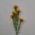 04-giallo