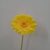 03-giallo chiaro