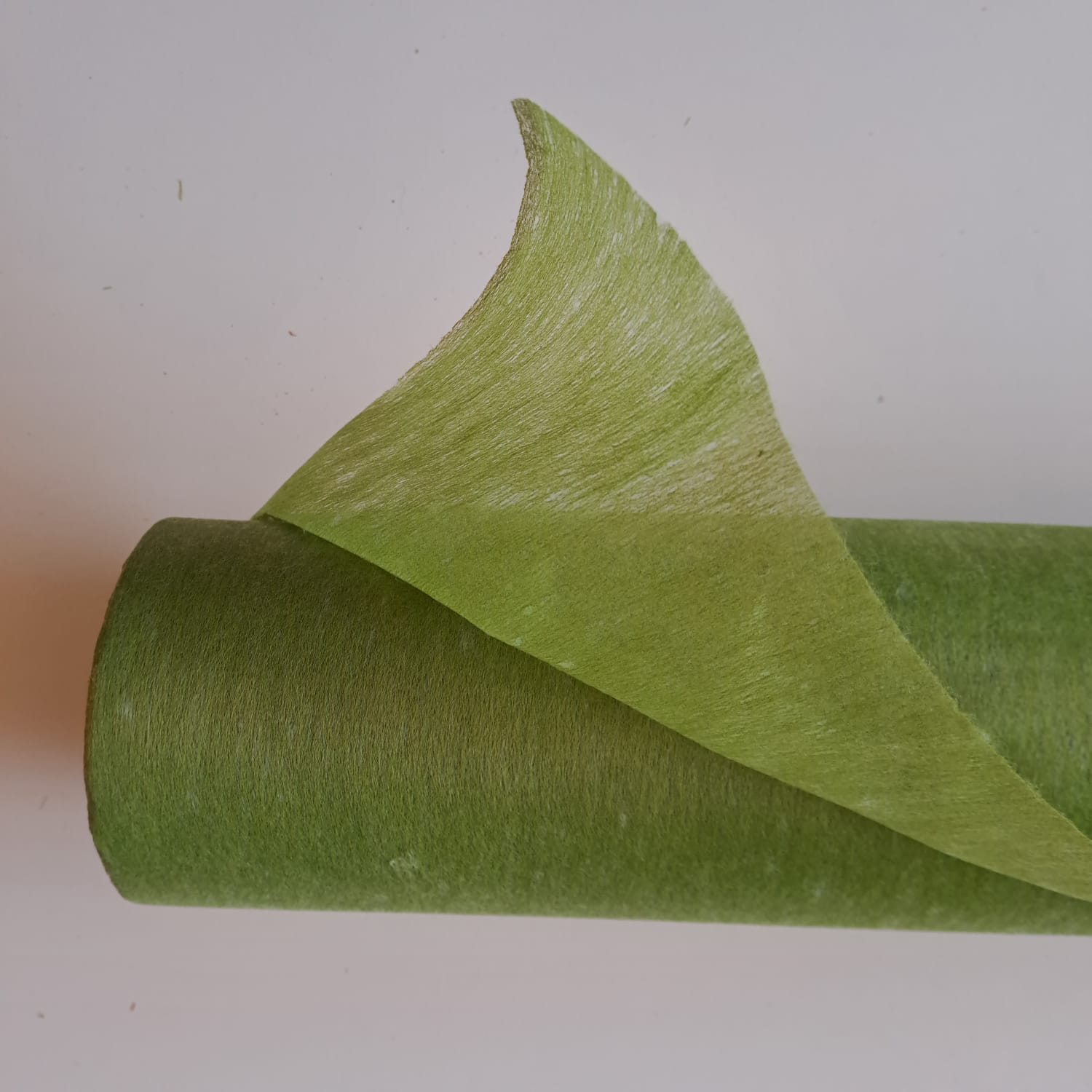 19-verde scuro
