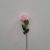 10-rosa chiaro