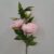 10-rosa chiaro
