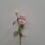 10-rosa chiaro