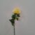 03-giallo chiaro